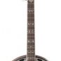 Washburn Five String Remo Head Flame Maple B16K with Hard Shell Case