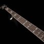 Washburn Five String Remo Head Flame Maple B16K with Hard Shell Case