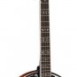 Washburn Five String Remo Head Flame Maple B16K with Hard Shell Case