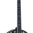 Washburn Five String Remo Head  Natural B14K with Washburn Hard Shell Case