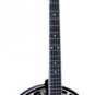 Washburn Five String Remo Head Natural B14K with Washburn Hard Shell Case