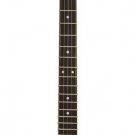 Washburn Five String Banjo - Open Back B7