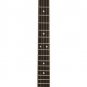 Washburn Five String Banjo - Open Back B7
