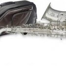 Stagg Eb-Alto Saxophone WS-AS211S, in soft case