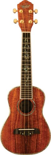 Oscar Schmidt OU280SK Concert Ukulele Solid Koa Top/Sides incl. Case