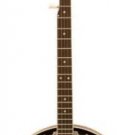 Woods 5 String Banjo w/ Geared 5th Peg