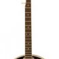 Woods 5 String Banjo w/ Geared 5th Peg