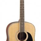 Woods Deluxe Dreadnought Guitar