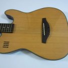 NEW James Neligan EW3000C Acoustic/Electric Guitar