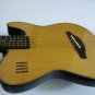 NEW James Neligan EW3000C Acoustic/Electric Guitar