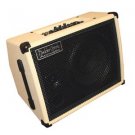 Boulder Creek AD25D 25Watt Acoustic Amplifier