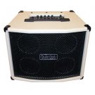 Boulder Creek A100TS 100 Watt  DSP Stereo Acoustic Amplifier