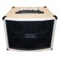 Boulder Creek A100TS 100 Watt  DSP Stereo Acoustic Amplifier