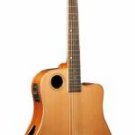 Boulder Creek Gold Series Dreadnought  Acoust./ Electr. solid Cedar Top Guitar