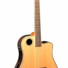 Boulder Creek Gold Series Dreadnought  Acoust./ Electr. solid Spruce Top Guitar