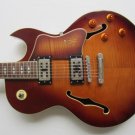 New Michael Kelly Vibe Semi Hollow Electric Guitar