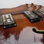 New Michael Kelly Vibe Semi Hollow Electric Guitar