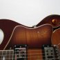 New Michael Kelly Vibe Semi Hollow Electric Guitar