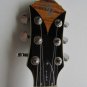 New Michael Kelly Vibe Semi Hollow Electric Guitar