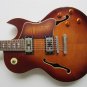 New Michael Kelly Vibe Semi Hollow Electric Guitar