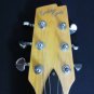 Boulder Creek Strat Style S3-AN Electric Guitar w. Case