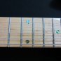 Boulder Creek Strat Style S3-AN Electric Guitar w. Case
