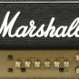 Marshall JVM210H 100-Watt 2-Channel Tube Head