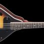 Oscar Schmidt A style Mandolin OM10E with passive electronics
