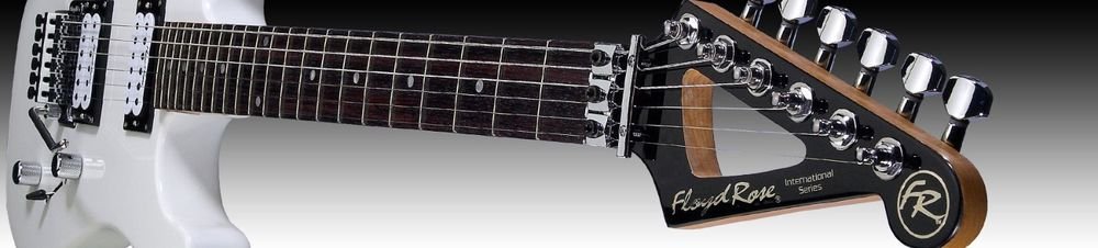 Флойд на гитаре. Флойд Роуз на гитаре. Гитара с Floyd Rose. Гитары Strandberg Floyd Rose. Электрогитара Floyd Rose Discovery.