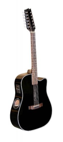 Boulder Creek Solitaire 12-String  Acoustic /Electric Guitar ECR1-B12