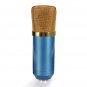 BM700 Condenser Microphone Dynamic Recording with Shock Mount