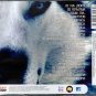 Russian music CD. Volk - Na Donu / &ETH;�&ETH;&frac34;&ETH;&raquo;&ETH;&ordm; - &ETH;�&ETH;&deg; &ETH;�&ETH;&frac34;&ETH;&frac12;&Ntilde;�