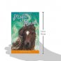 Pony Camp #8 (Magic Ponies). Book. Sue Bentley
