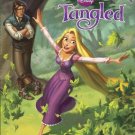 Chasing a Dream (Disney Tangled) (Hologramatic Sticker Book)  Cynthia Hands