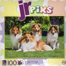 JR pixs - Shetland Family - 100 Piece Jigsaw Puzzle