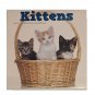 Kittens 2017 12-Month