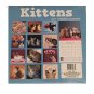 Kittens 2017 12-Month
