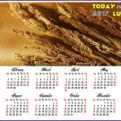 2017 Magnetic Calendar - Calendar Magnets - Today is my Lucky Day - Edition #6