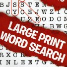 Large Print Word Search - (2016) - Vol.110