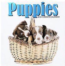 Puppies 2018 12 Month Calendar