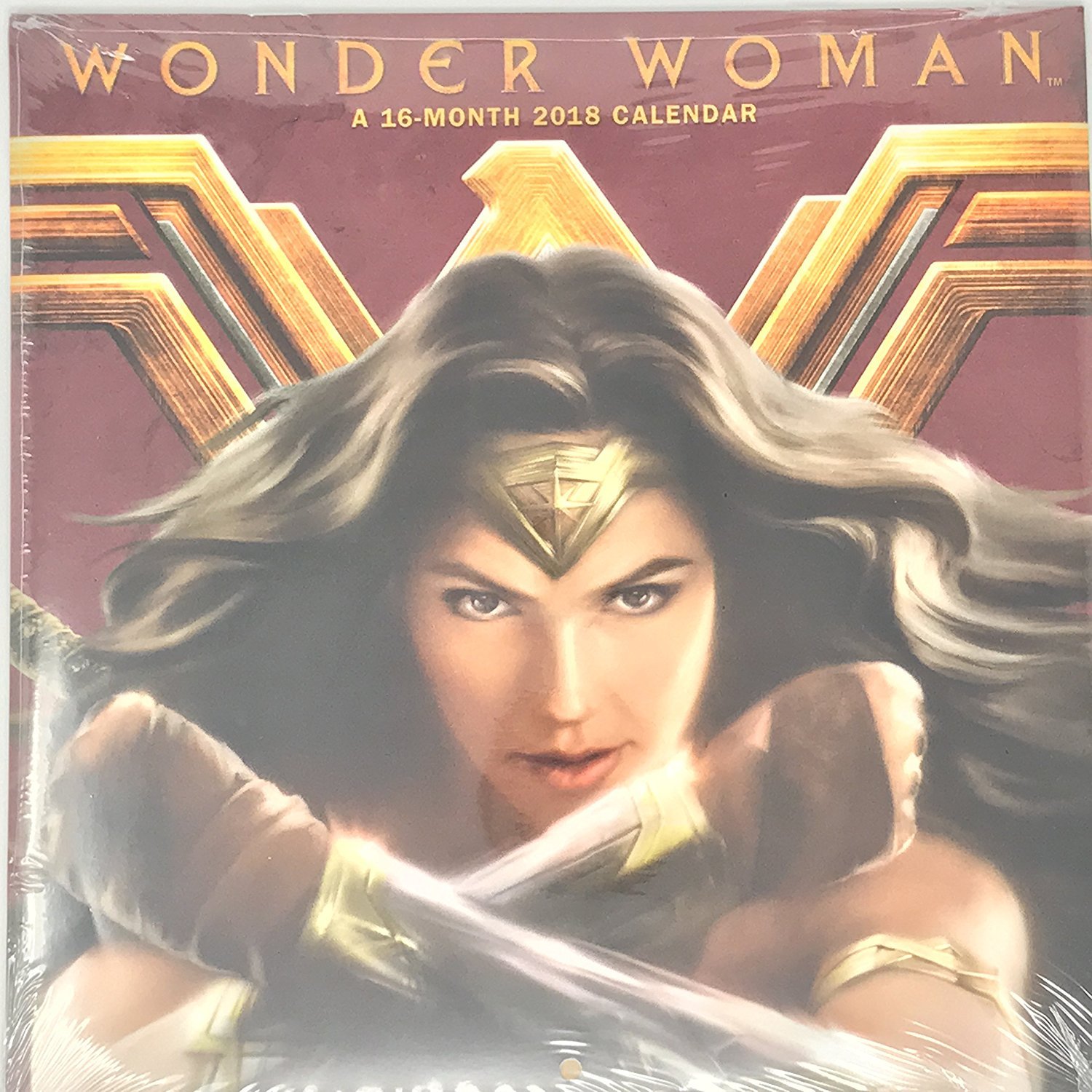 Wonder Woman 16 month 2018 Calendar 10" x 10"