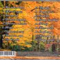Vse jeto ty / &ETH;�&Ntilde;�&ETH;&micro; &Ntilde;�&Ntilde;�&ETH;&frac34; &Ntilde;�&Ntilde;� - &ETH;�&ETH;&raquo;&ETH;&deg;&ETH;&acute;&ETH;&cedil;&ETH;&frac14;&ETH;&cedil;&Ntilde;� &ETH;�&Ntilde;�&ETH;&frac14;&ETH;&frac34;&ETH;&raquo;&ETH;&frac34;&ETH;&sup2; - Russian Music CD