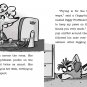 The Case of the Missing Tiger's Eye (Rider Woofson)