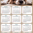 2020 Magnetic Calendar - Calendar Magnets - Today is My Lucky Day - Dog Themed 1