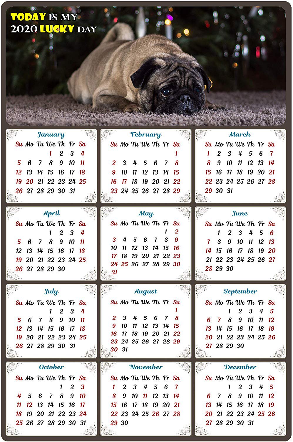 2020 Magnetic Calendar - Calendar Magnets - Today is My Lucky Day - Dog Themed 2
