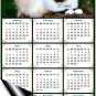 2020 Magnetic Calendar - Calendar Magnets - Today is My Lucky Day - Cat Themed 2