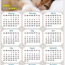 2020 Magnetic Calendar - Calendar Magnets - Today is My Lucky Day - Cat Themed 4 2020 Magnetic Calendar - Calendar Magnets - Today is My Lucky Day - Cat Themed 4