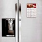 2020 Magnetic Calendar - Calendar Magnets - Today is My Lucky Day - Cat Themed 7
