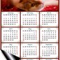 2020 Magnetic Calendar - Calendar Magnets - Today is My Lucky Day - Cat Themed 7