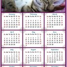 2020 Magnetic Calendar - Calendar Magnets - Today is My Lucky Day - Cat Themed 8